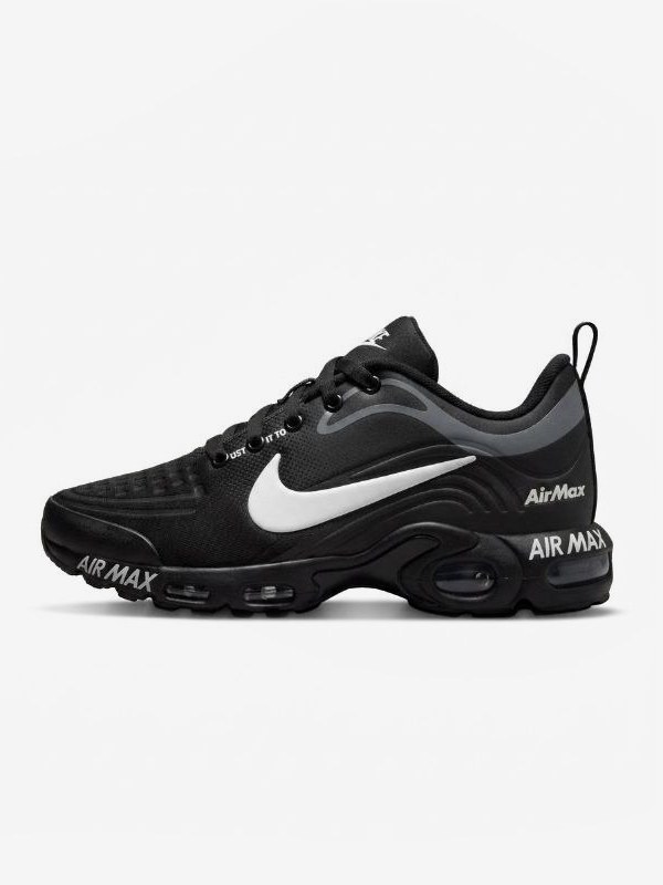Zapato Nike Air Max