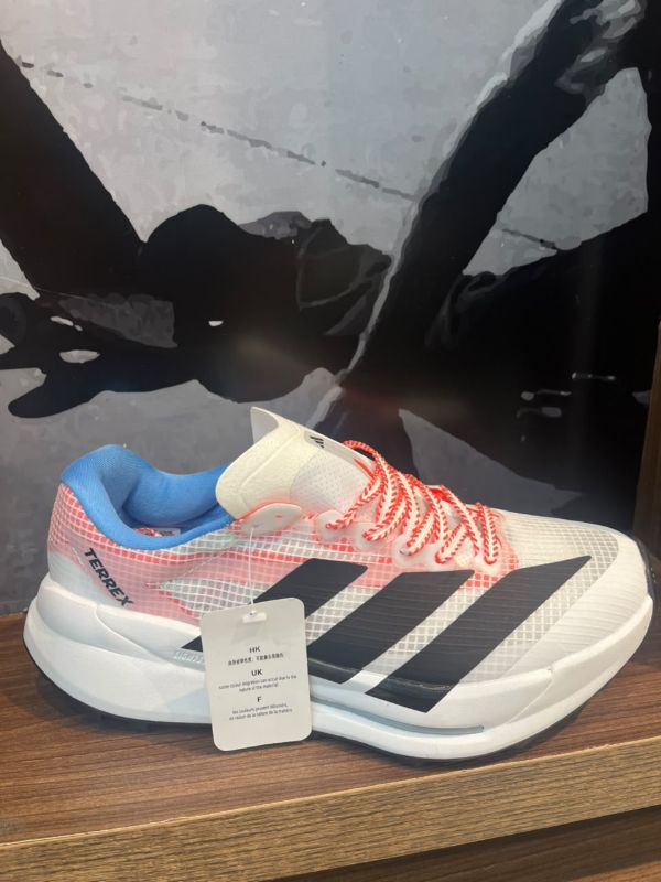 Zapato adidas Terrex Skychaser