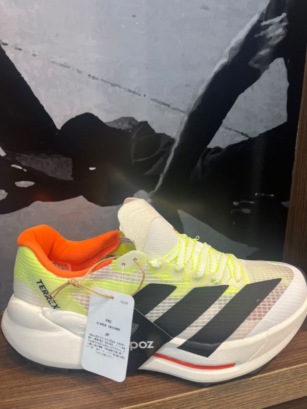 Zapato adidas Terrex Skychaser