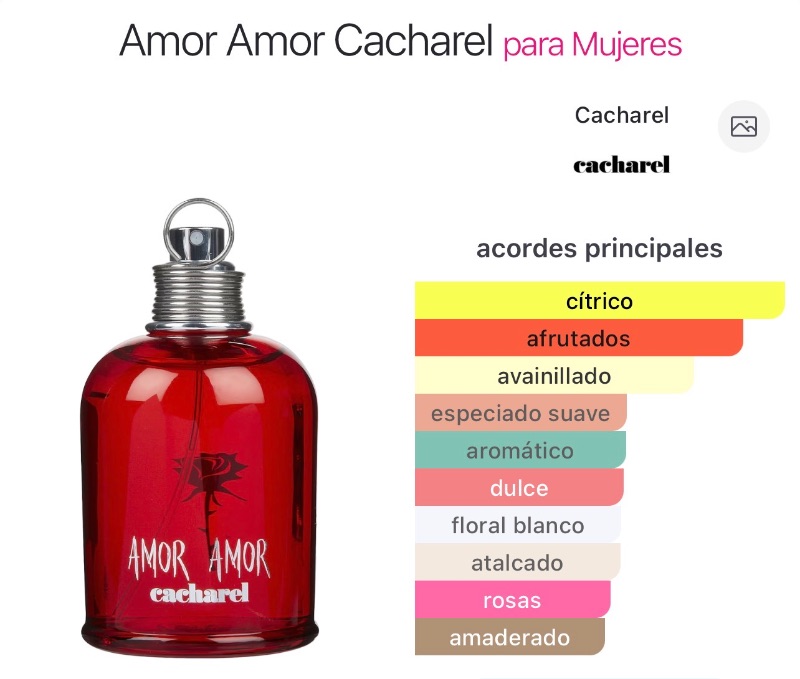 Amor Amor
