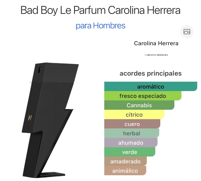 Bad Boy Le Parfum